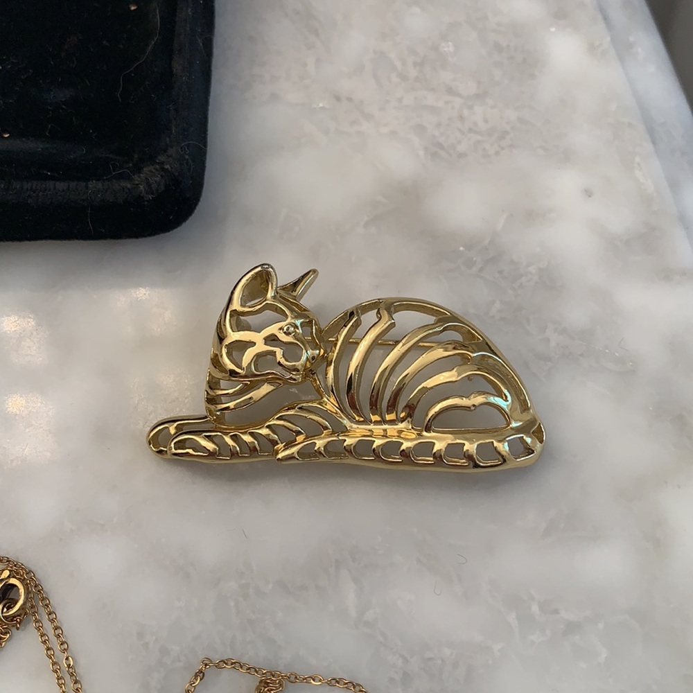 Beautiful Vintage Cat 🐱 Pin